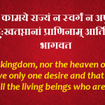 banner-Copy-769×274